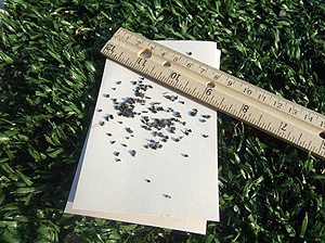 Synthetic Turf