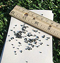 Synthetic Turf